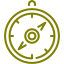 olive compass 2 icon