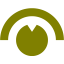 olive dial icon