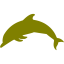 olive dolphin icon