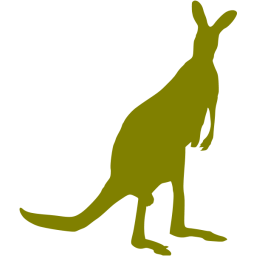 kangaroo 2 icon