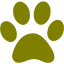 olive paw icon