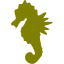 olive sea horse icon