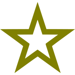 star 4 icon