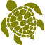 olive turtle icon