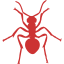 persian red ant icon