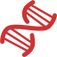 persian red dna helix icon