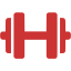 persian red dumbbell icon