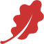 persian red leaf 2 icon