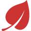 persian red leaf icon