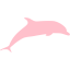 pink dolphin 3 icon