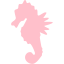 pink sea horse icon