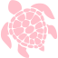 pink turtle icon