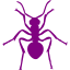 purple ant icon