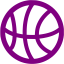 purple basketball icon