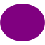 purple ellipse icon