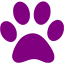 purple paw icon