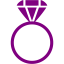 purple ring 2 icon