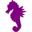 purple sea horse icon