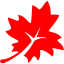 red leaf 3 icon