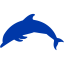 royal azure blue dolphin icon