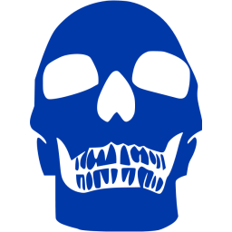 skull 75 icon