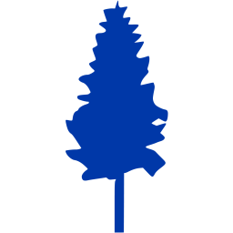 tree 19 icon