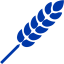 royal azure blue wheat icon