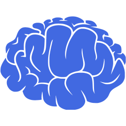 brain 2 icon