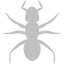 silver ant 3 icon