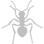 silver ant icon