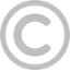 silver copyright icon