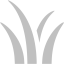 silver grass icon