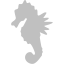 silver sea horse icon