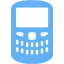 tropical blue blackberry icon