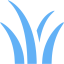 tropical blue grass icon