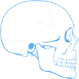 skull 62 icon