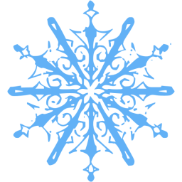 snowflake 10 icon