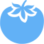 tropical blue tomato icon