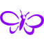 violet butterfly 3 icon