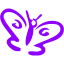 violet butterfly icon