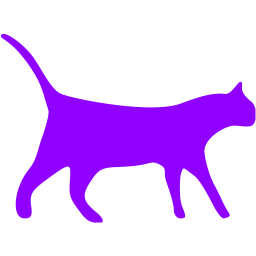 cat 3 icon