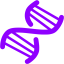 violet dna helix icon