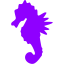 violet sea horse icon