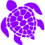 violet turtle icon