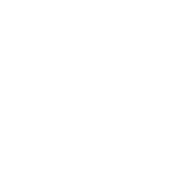 500px 5 icon