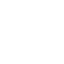 white ant icon