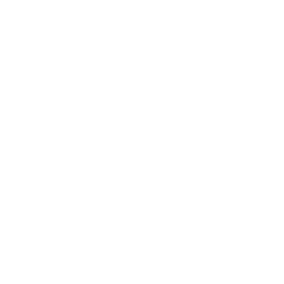 aperture icon