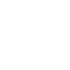 white bug 2 icon