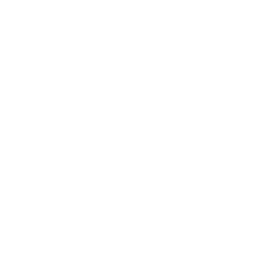 cheetah icon