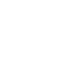 white dolphin icon